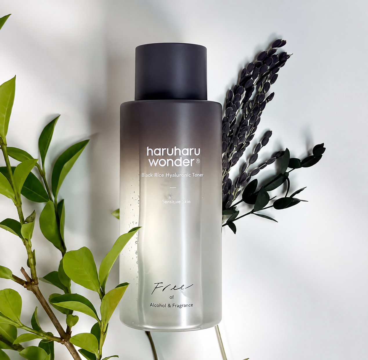 Nước Cân Bằng Cấp Ẩm Haruharu Wonder Black Rice Hyaluronic Toner 150ml